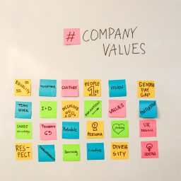 company values